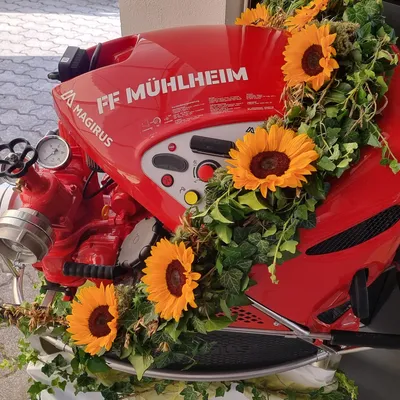 TS - FF Mühlheim.jpg